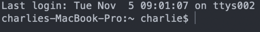 Freshly Opened Mac Terminal Window