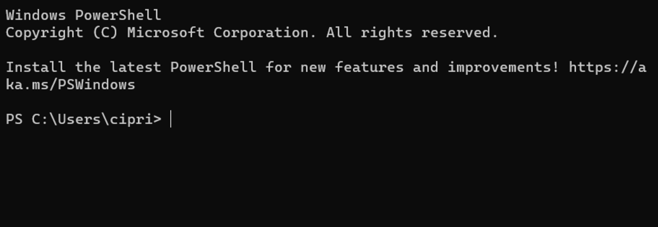 Freshly Opened Windows Terminal Window